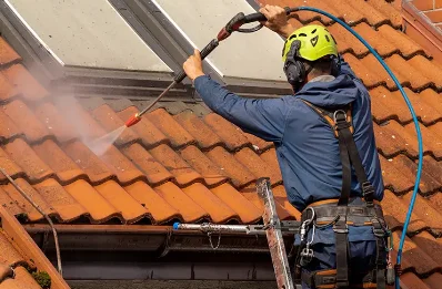 Démoussage et hydrofuge de toiture à Joannas